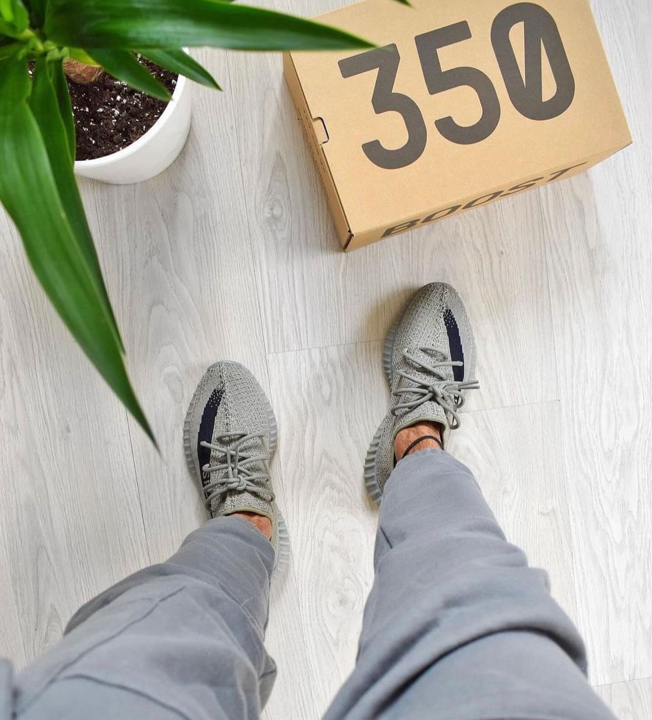 Adidas Yeezy Boost 350 V2 Space Ash