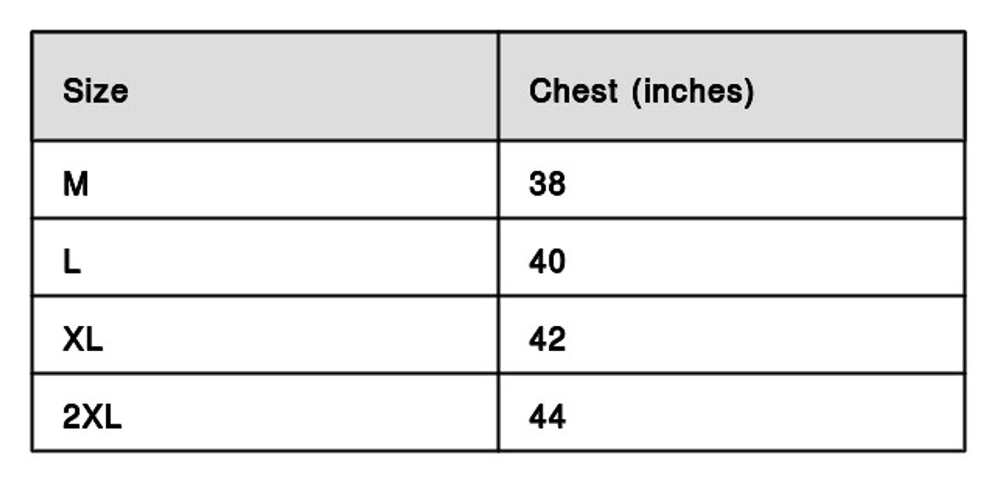 Long Sleeves Regular Fit Formal Shirt