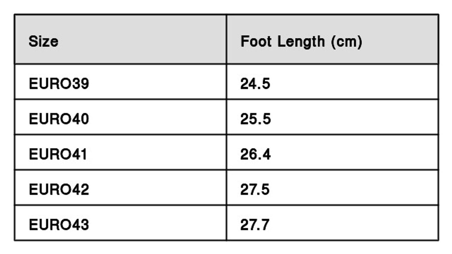 Stylish black mesh shoe