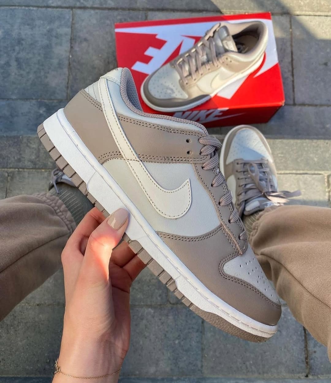 SB Dunk low